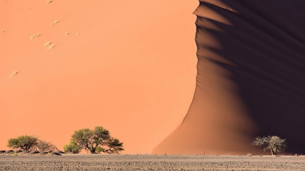 ئه‌و بيست وێنه‌يه‌ى مرۆڤ بڕوا به‌ بينينيان ناكات